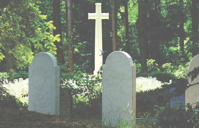 Odwiedziny na cmentarzu 