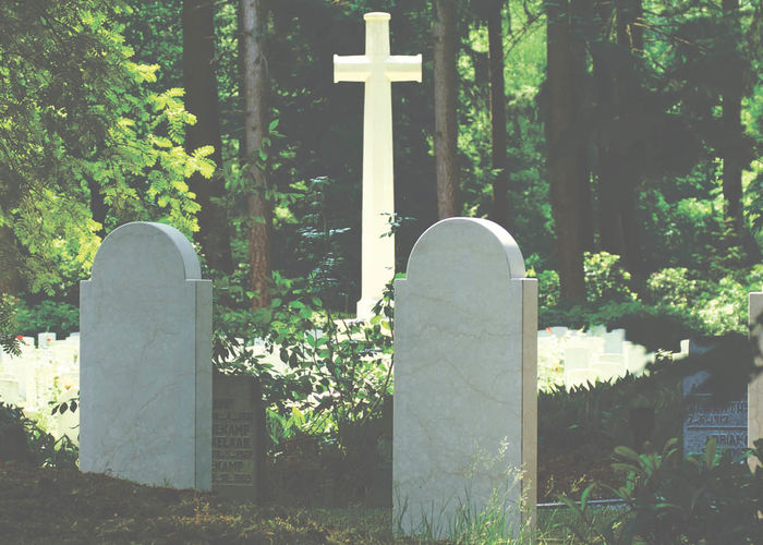 Odwiedziny na cmentarzu 